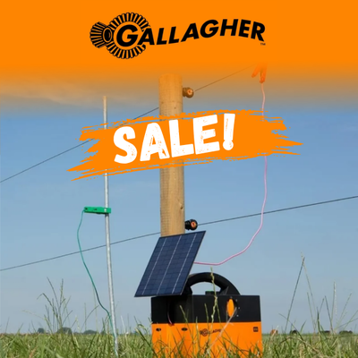 Gallagher Sale
