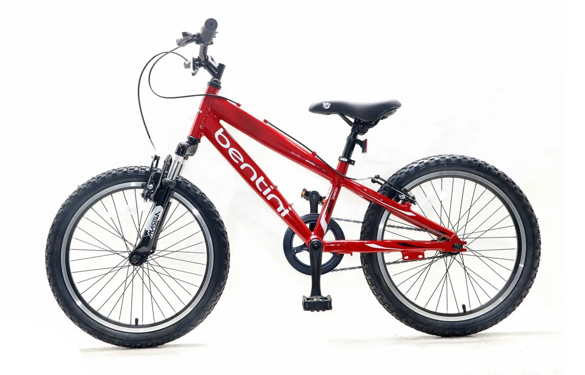 Bentini Shadow 20" Mountain Bike