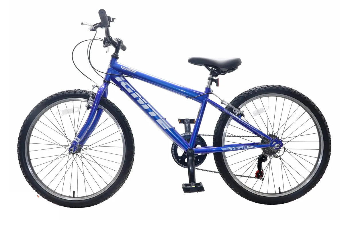 Ignite Thunder 24" Mountain Bike