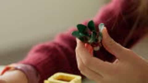 LEGO Botanicals 10349 Happy Plants