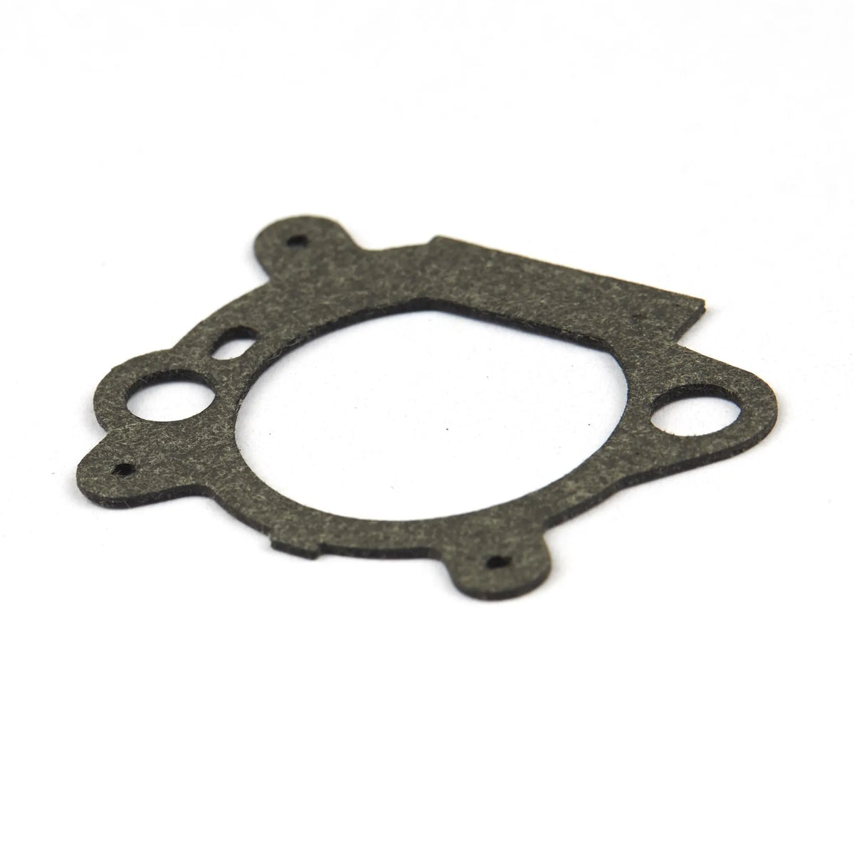 Briggs & Stratton Air Cleaner Gasket 795629