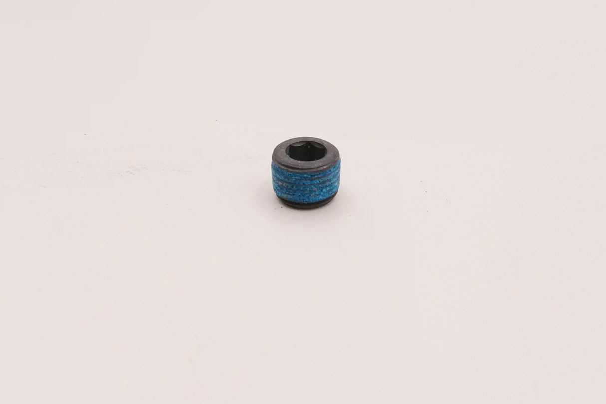 Kubota Plug 15521-96020 - OEM Engine Component Plug for Fuel and Camshaft Systems