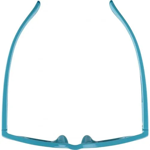 Alpina Sunglasses Kids Blue