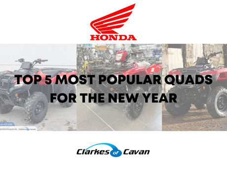 Top 5 Most Popular Quads For The New Year