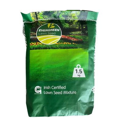Grass Seed