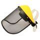 Safety Visors