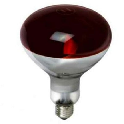 Heat Bulbs