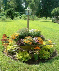 Garden Décor