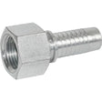 BSP Female 60 Degree Cone Fitting - 1/4" Hose x 3/8" BSP Zinc Passivated