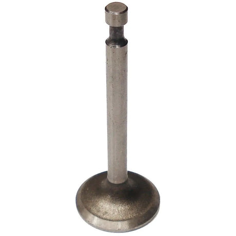 Honda Exhaust Valve Fits GC135 GC160 GC190