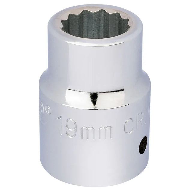 Draper 12 Point Socket, 3/4" Sq, Dr, 19mm