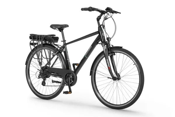 EcoBike Traffic Electric bike M Black