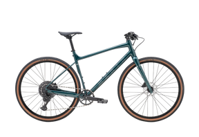 Marin DSX 1 