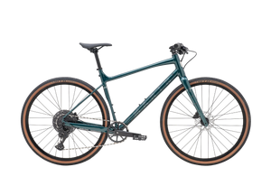 Marin DSX 1 