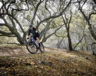 Marin Wildcat Trail 3 27.5" Womens Mountain Bike Silver