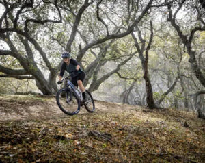 Marin Wildcat Trail 1  27.5" Mountain Bike Maroon