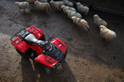 Honda TRX420FA6