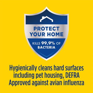 Jeyes Multi Purpose Disinfectant for Outdoor Cleaning 300ml