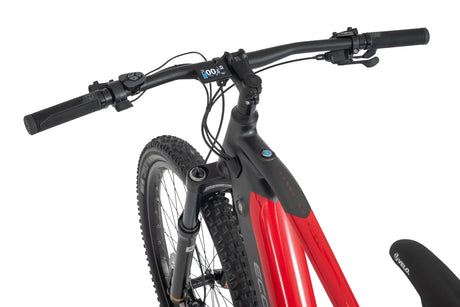 Ecobike RX500 Electric Mountain Bike