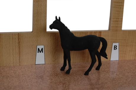Kids Globe Horse Stable with 3 Boxes, Wash Box and Indoor Arena