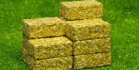 Kids Globe Square Bales (Pack of 4)