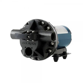 Delevan Powerflo 19L/min 12V Pump