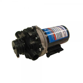 Everflo Pump 19L/min 12V