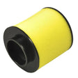 Genuine Honda Air Filter For TRX250