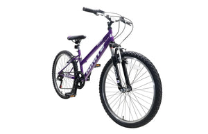 Ignite Destiny 24" Mountain Bike