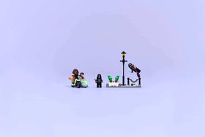 LEGO Harry Potter 76459 Hagrid & Harry's Privet Drive Escape