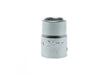 Teng Tools 6 Point Socket