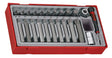 Teng Tools 23PC. TORX BIT 40/75MM