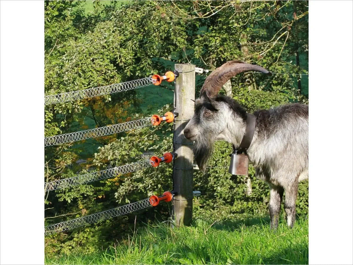 Gallagher Spring Gate 5m