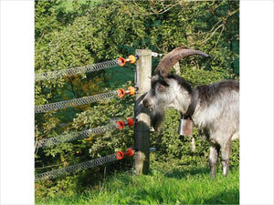 Gallagher Spring Gate 5m