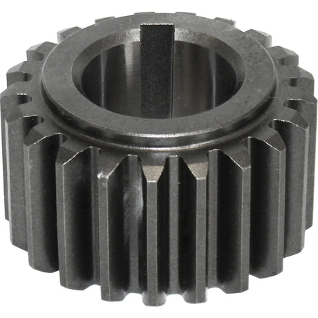 AM33BP MEC Gear 21 Teeth 5000Ltr 
