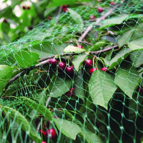 Benson Garden Net - Green - Mono - 5 x 4 metres