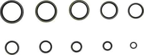 BGS Seal Ring Assortment 150 pc