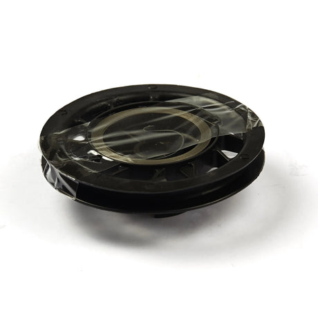 Briggs & Stratton Recoil Starter Pulley