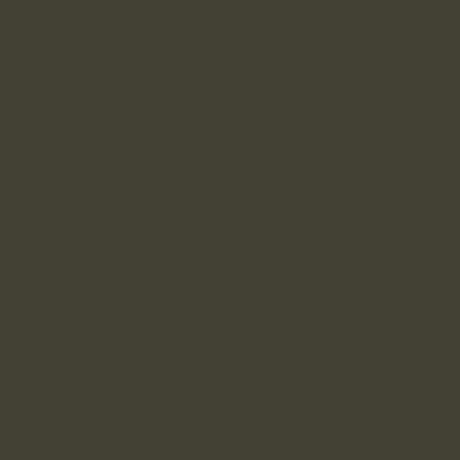 TRACTOL David Brown Chocolate High Gloss Paint 1 Litre - Durable Finish for Agricultural & Construction Equipment - MK52
