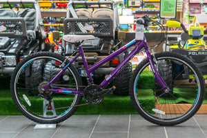 Ignite Crystal Mountain Bike
