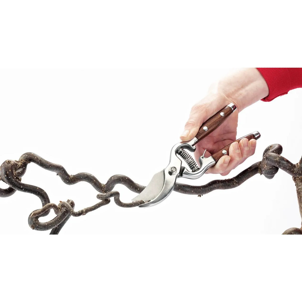 Draper Bypass Pattern Secateurs 210mm