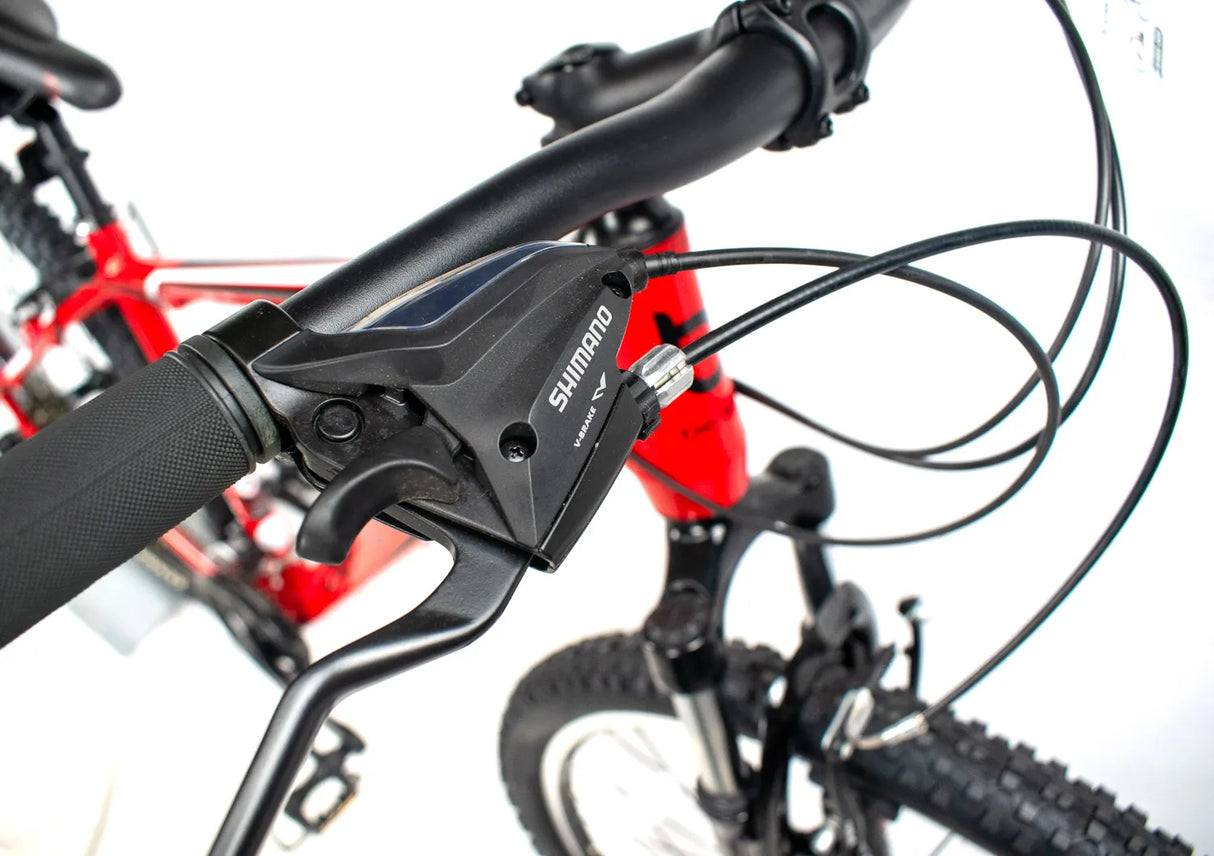 Bentini Ridge Mountain Bike