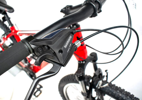 Bentini Ridge Mountain Bike
