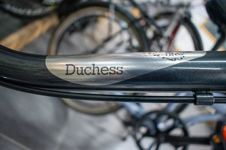 Dawes Duchess Heritage 17" Bike | Classic Style & Comfort