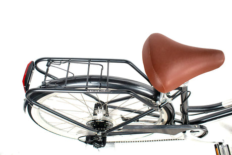 Dawes Duchess Heritage 17" Bike | Classic Style & Comfort