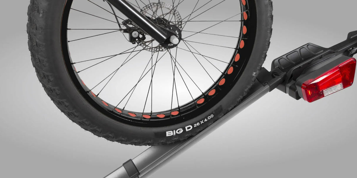 Buzzrack e-RAMP Telescopic ramp for e-bikes
