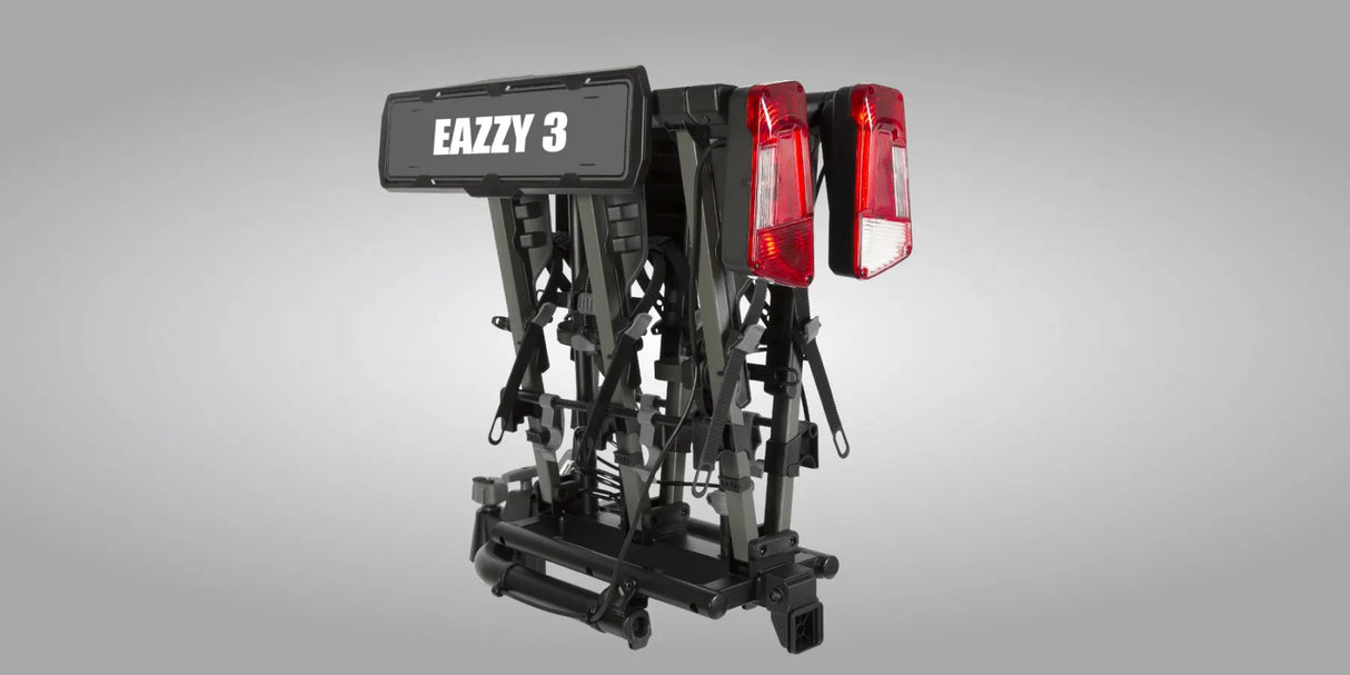 Buzz Rack Eazzy 3 Bike
