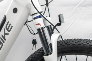 Ecobike SX3 Electric Mountain Bike