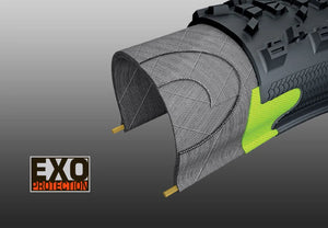 Maxxis Minion DHF Tyres