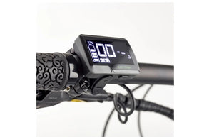 EZEGO Trail Destroyer eBike 17"